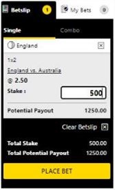 A screenshot of a betslip taken from 10cric
