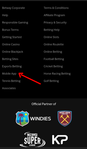 Menu Aplikasi Betway