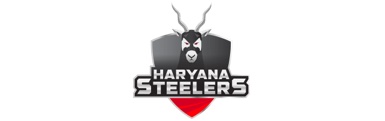 Haryana Steelers Logo