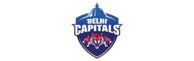 delhi capitals logo