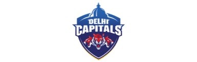 delhi capitals logo