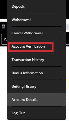 10cric drop down menu with account options