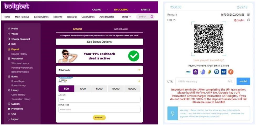 Deposit window on bollybet