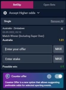 Placing bet on vbet
