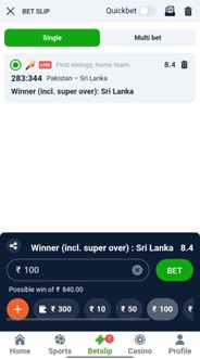 A screenshot of cricket betslip on 20bet