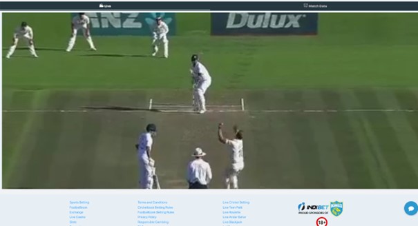 Cricket Live Streaming on Indibet Website