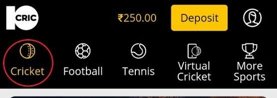 cricket option on 10cric mobile app