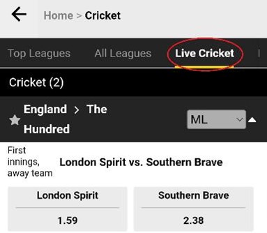 Live cricket option on 10cric mobile app