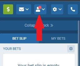 A screenshot showing the login button on 1xbet