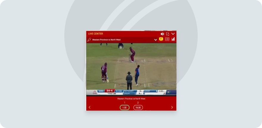 Live cricket on Dafabet