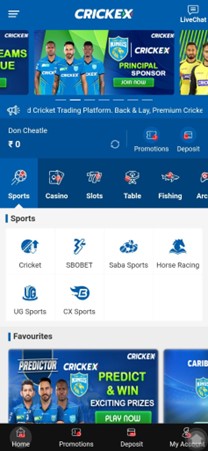 A screenshot showing the sport market on Crickex