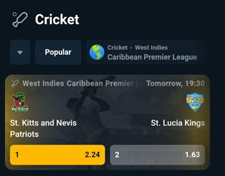 A screenshot showing betting on cricket on rajabets mobile app