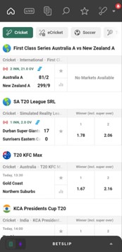 A screenshot of rajbet cricket market