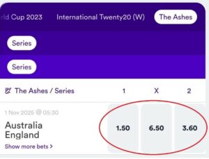 cricket match odds on Casumo app