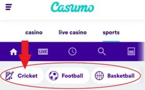 Live cricket feature on casumo app