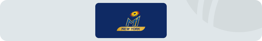 mi new york logo banner